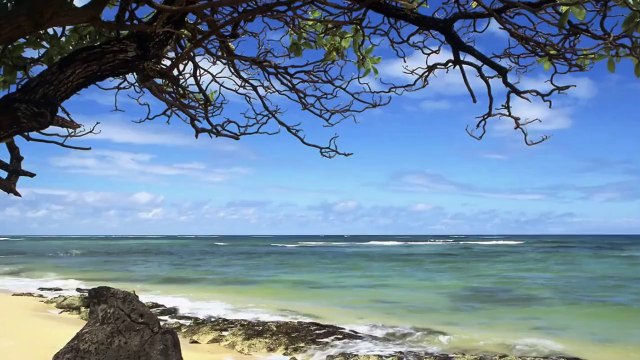 Красота мира