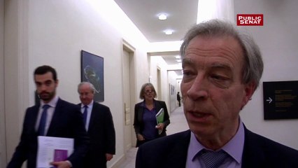 Hugues Portelli sur l'article 68 de la Constitution