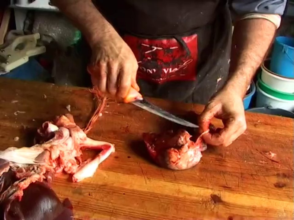 Delikatessen