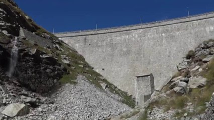 Cabras realizan inusual paseo en Italia