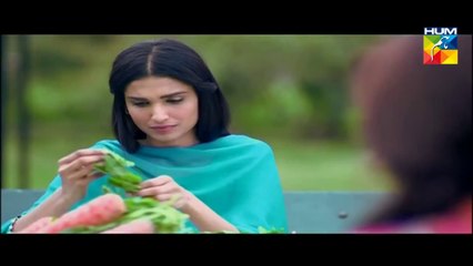 Janam Jali Episode 8 HUM TV Drama