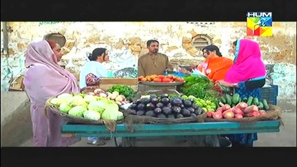 Kahani Raima Aur Manahil Ki Last Episode HUM TV Drama