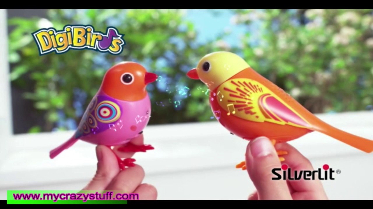 Digibirds - Mycrazystuff.com
