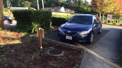 iPhone 6 Plus User Review