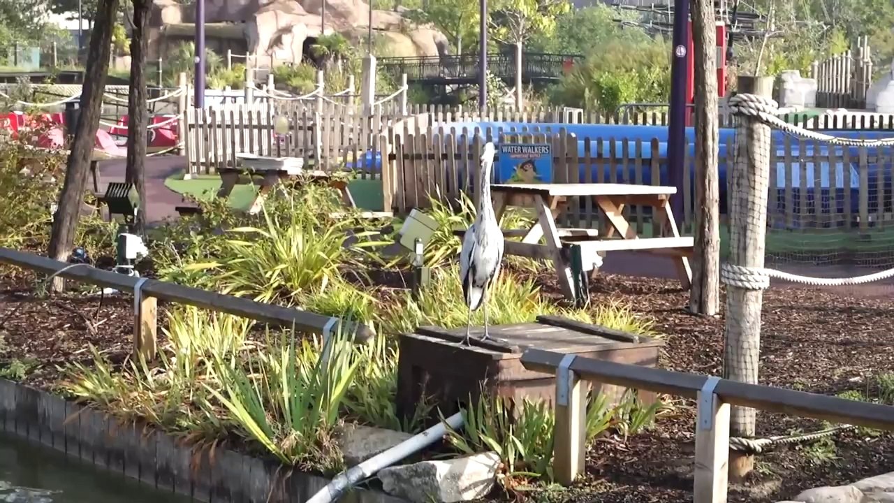 Apple Store iPhone 6 Plus Launch - Geek Vlog 290 AppleStore iPhone6 iPhone6Plus