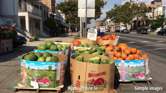 Apple iPhone 6 vs Apple iPhone 5s