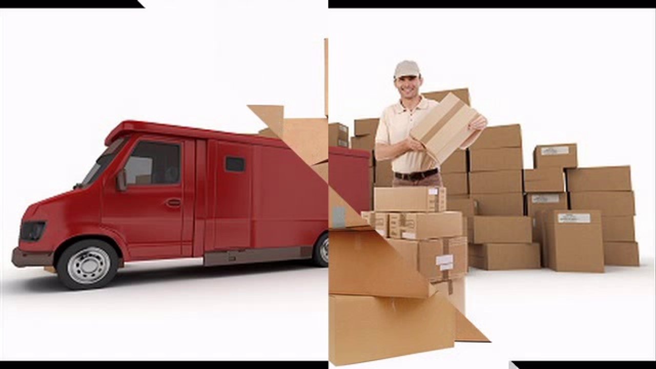 Norwood Removals