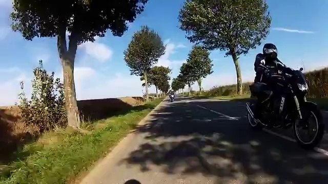 Arsouille autour d'albert