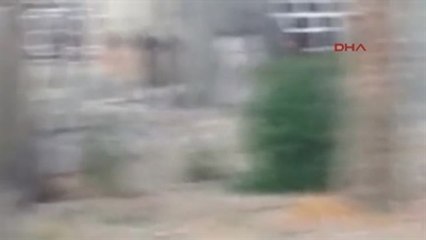 Dha Diyale'de Işid'a Karşı Savaşı Görüntüledi