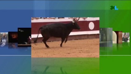 Préserver les lagunes des Landes et les restaurer