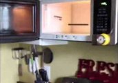 Epic iPhone Microwave Charge Fail (With Bleeps)