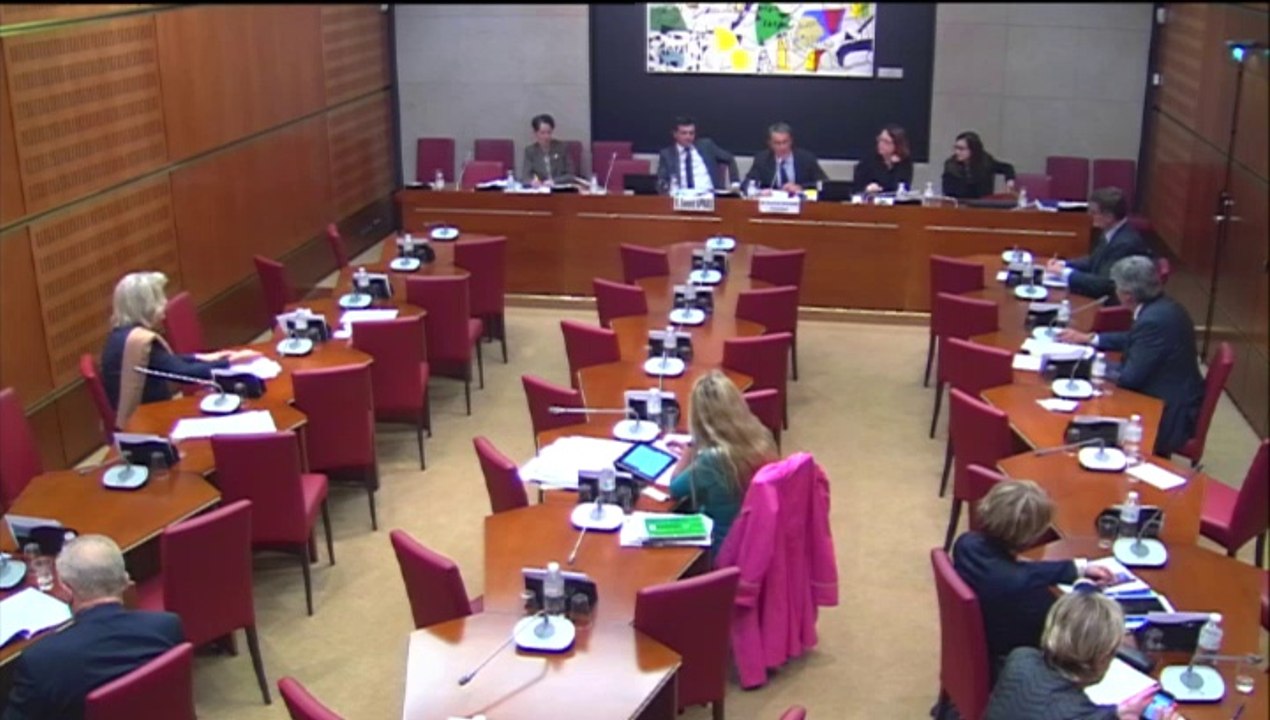 Intervention d'Hervé Féron en Commission des Affaires Culturelles et de l'Education : PLF 2015 - examen des crédits de la mission 'Action extérieure de l'Etat'