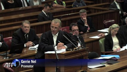 Promotor pede dura condenação para Pistorius