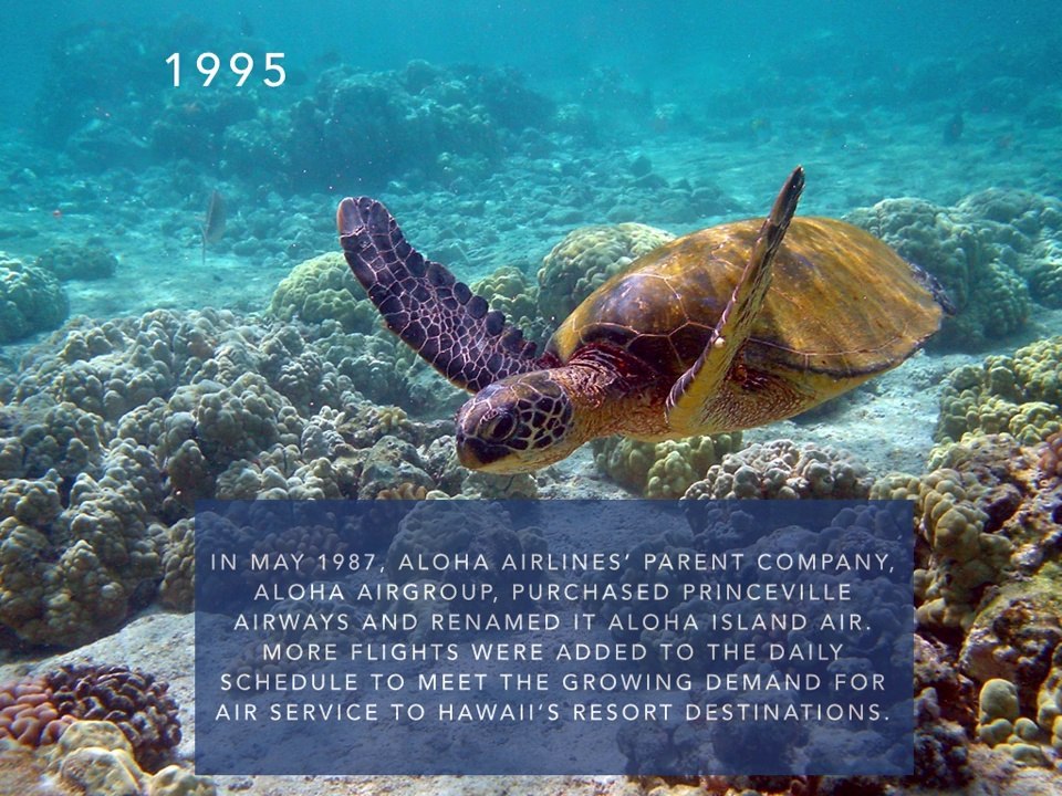 David Pflieger - History of Island Air