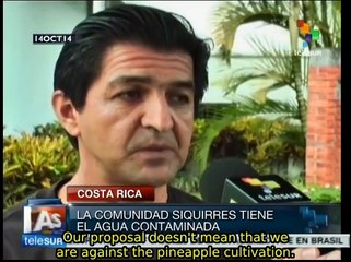 Pineapple monoculture in Costa Rica damages enviornment