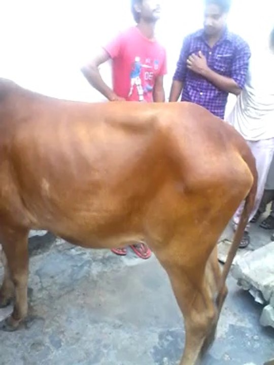 moodi aamir