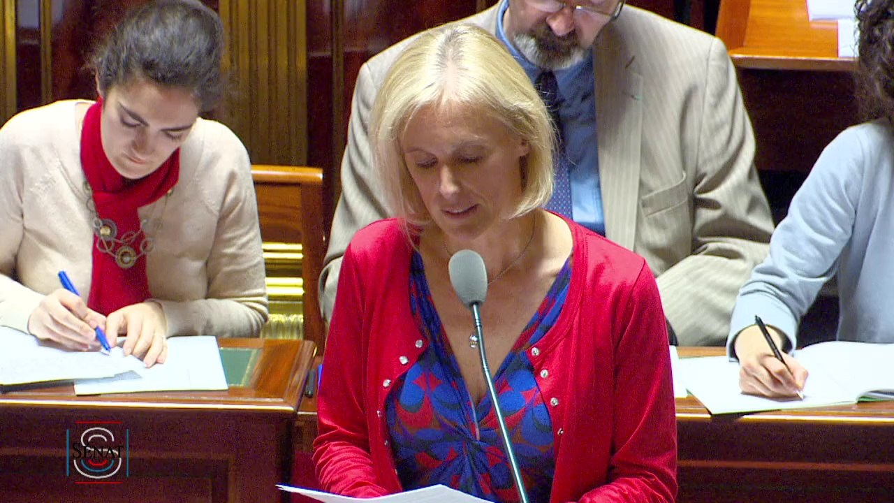 Ebola: la France a "les moyens" de traiter les patients