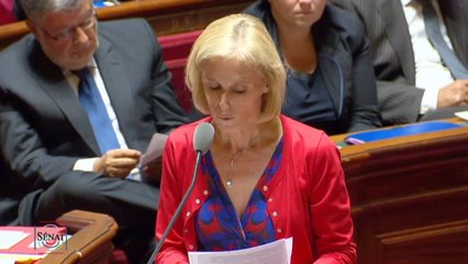 QAG de Y. Vaugrenard du 16 octobre 2014