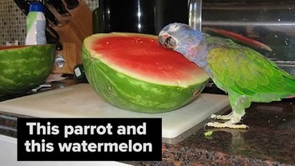 24 Photos You Have To See Before You Die