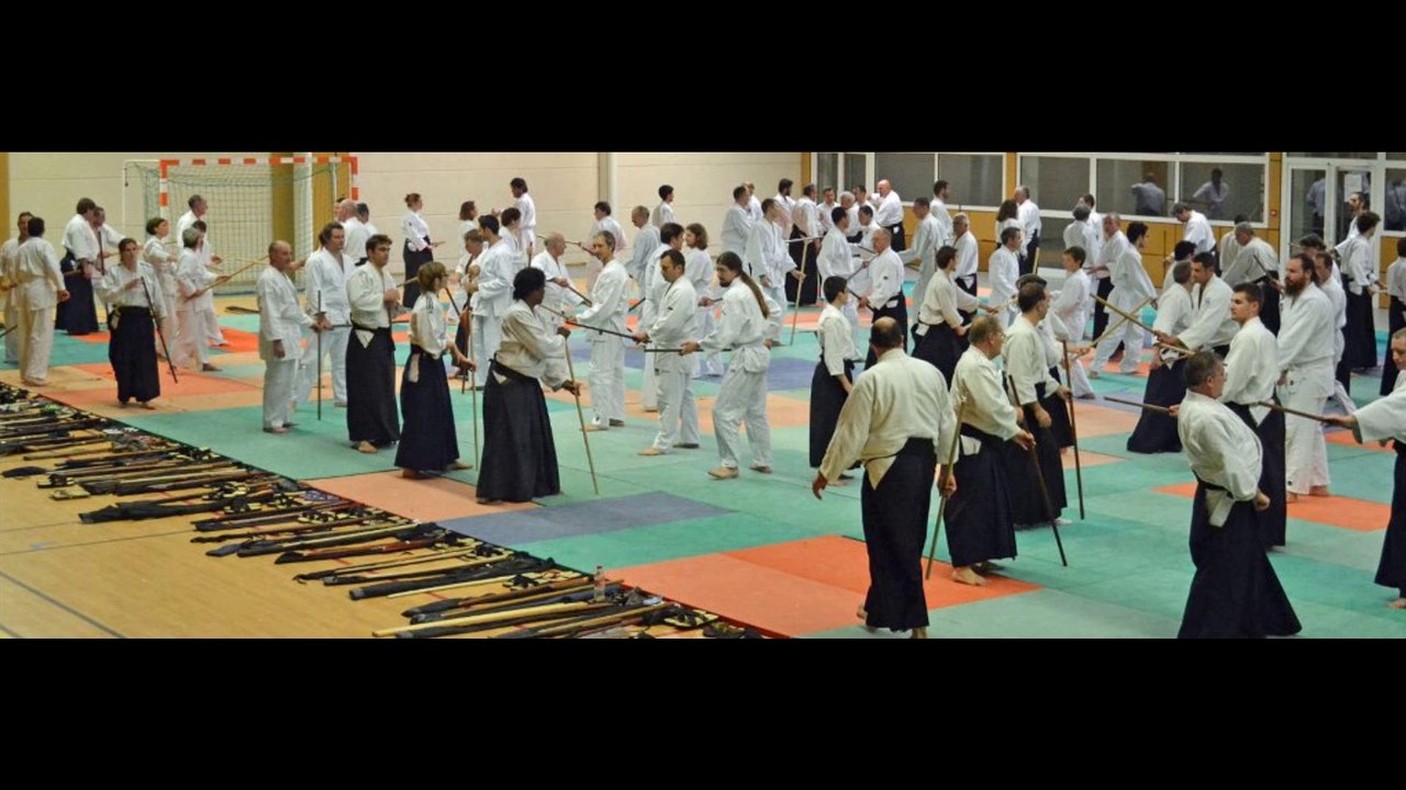 Aïkido traditionnel à Villefranche sur Saône avec Alain PEYRACHE Shihan