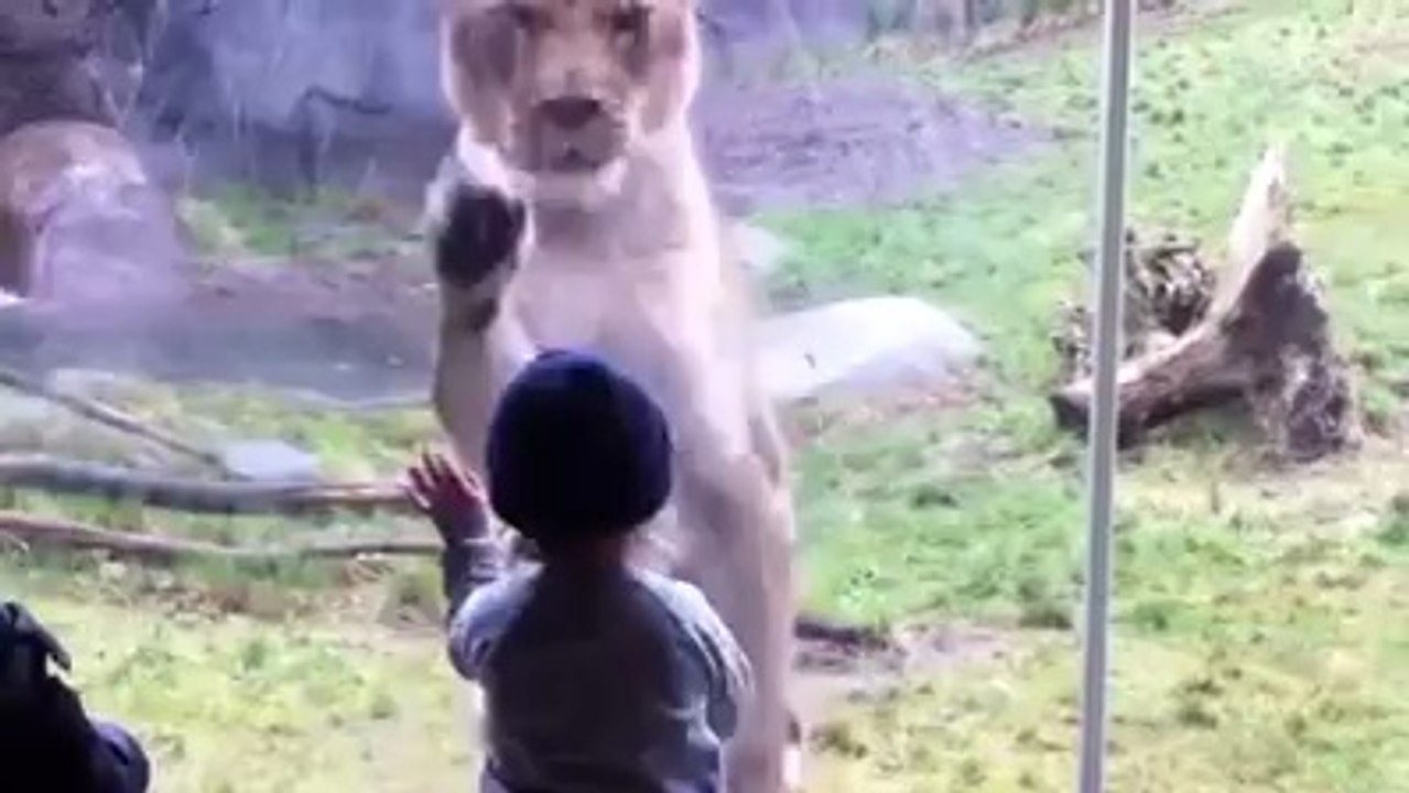babyes with animals funny moments
