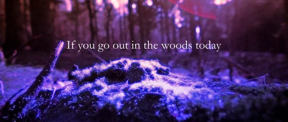 teaser Died of hunger - Mords de Faim (pré-production)