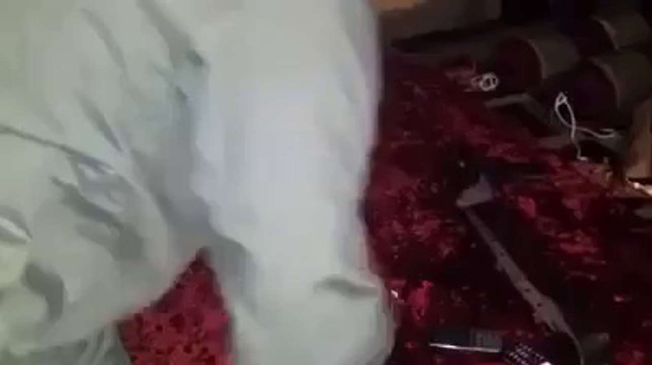 lala shazi