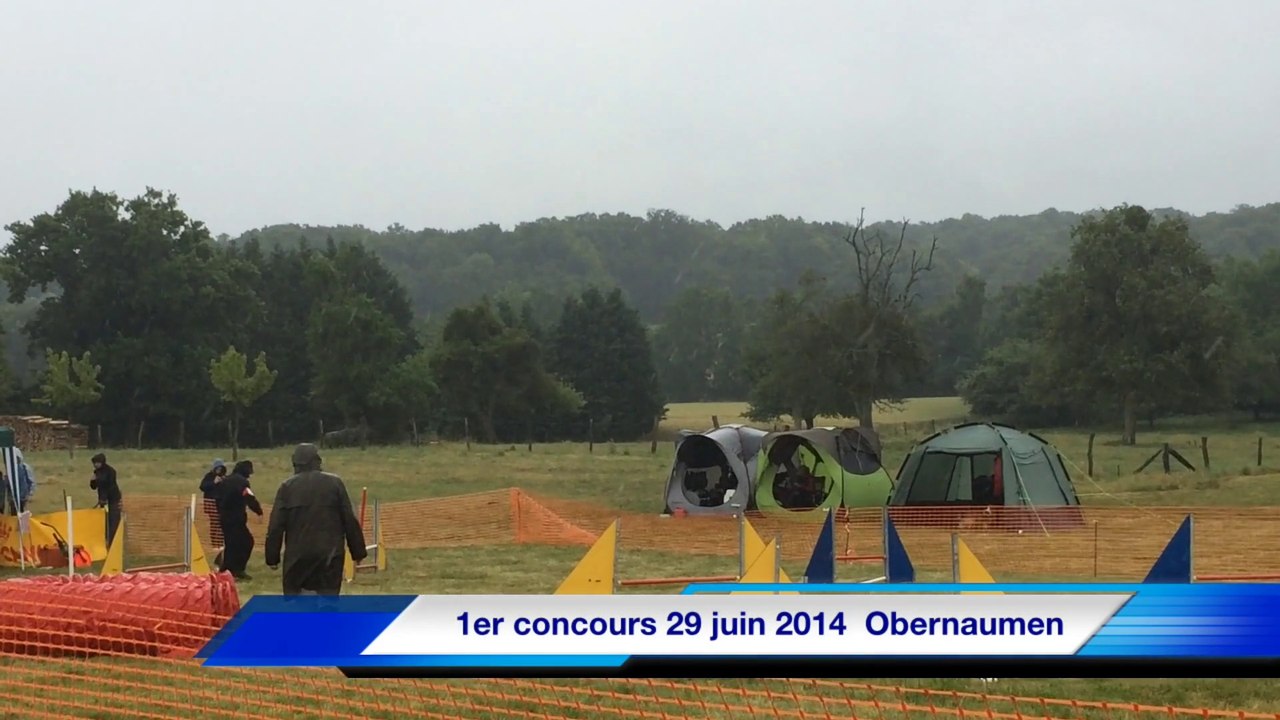 Gwada, 3 mois d'Agility...