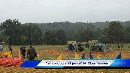 Gwada, 3 mois d'Agility...