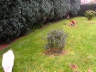 super !! trop chouette !!!