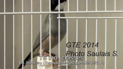 GTE 2014 Paddas Opale ind classes titre