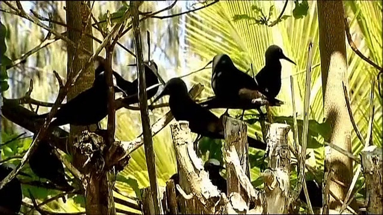 Travel Oz: Magnificent Islands Of Australia