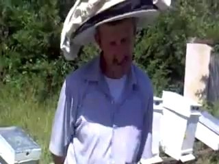 Samsun arıcılık eğitim videosu 3