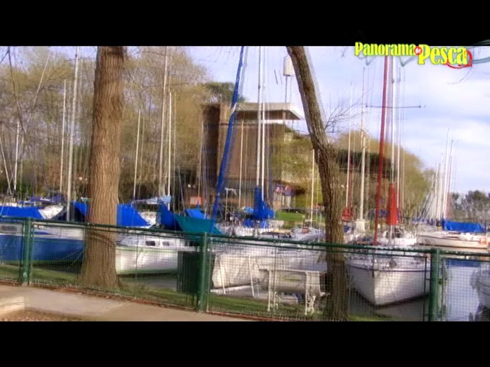 Panorama TV 200