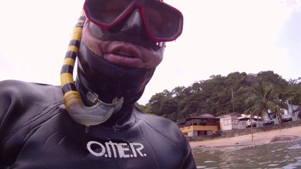 Polvo gigante, Praias, Mares, Apneia, Natureza Marinha, Ubatuba, SP, Brasil, Marcelo Ambrogi, (3)