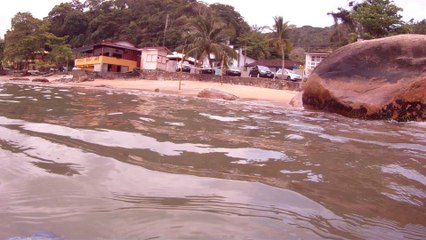 Polvo gigante, Praias, Mares, Apneia, Natureza Marinha, Ubatuba, SP, Brasil, Marcelo Ambrogi, (7)