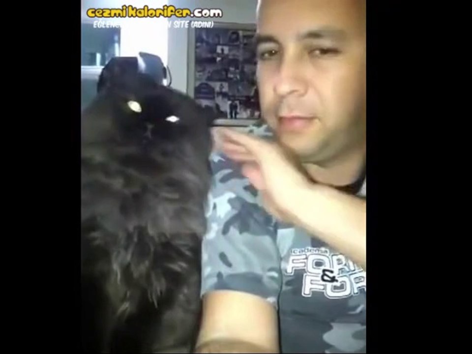 Sahibine Aşık Kedi