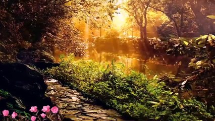 Monajat کلیپی زیبا برای امام زمان (عج) با صدای علی فانی (با کیفیت