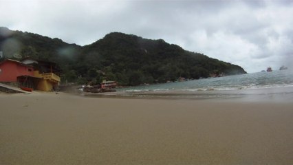 Polvo gigante, Praias, Mares, Apneia, Natureza Marinha, Ubatuba, SP, Brasil, Marcelo Ambrogi, (9)