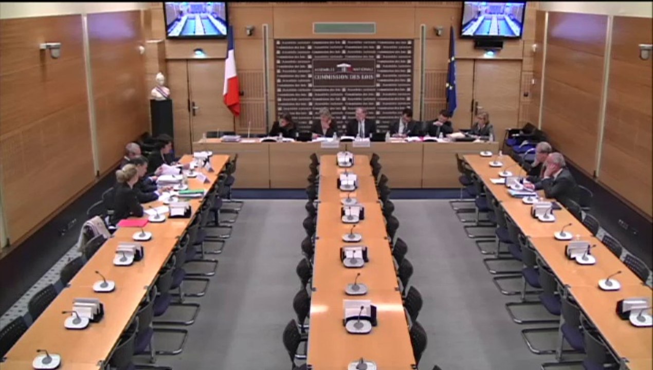 Mme Carole Champalaune, Dir des affaires civiles et du Sceau - Mercredi 15 Octobre 2014