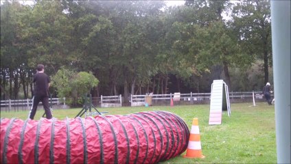 2014-10-15 Eclipse Back to Running Dogwalk 17th training