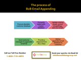 Drive business and nurture loyalty with B2B Email Appending