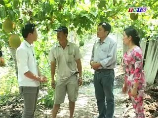 Mô hình trồng gấc ở tân phước - nghenong.com