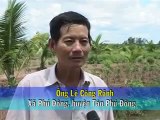 Mô hình trồng sả xoá nghèo - nghenong.com