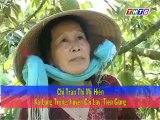 Mô hình trồng sầu riêng hiệu quả - nghenong.com