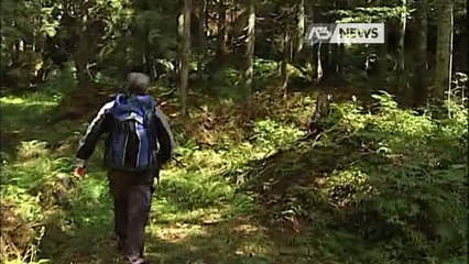 DISPERSA NEI BOSCHI, MUORE EX CANDIDATA