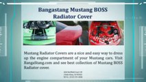 Ford Mustang Radiator Covers at BangaStang.com