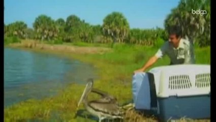 BP poursuit en Justice Transocean et Cameron International