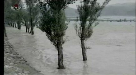 Muifa tue en Corée du Nord