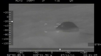 Le Prince William : héros de la Royal Air Force